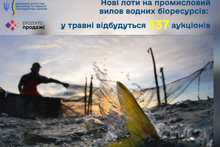 У травні відбудеться 137 аукціонів на промисловий вилов водних біоресурсів