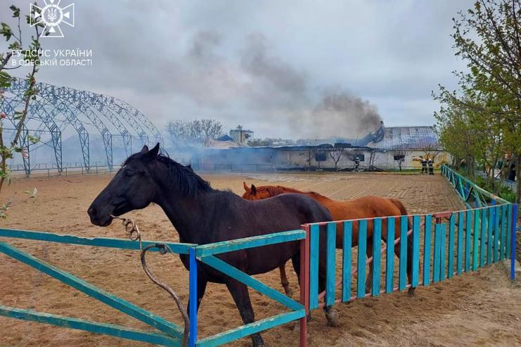 НА ОДЕЩИНІ ЛІКВІДУВАЛИ ПОЖЕЖУ В ПРИВАТНІЙ КОНЮШНІ: ДЕТАЛІ