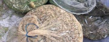 На Одещині затримано браконьєра, який наловив креветок і крабів на більш ніж 100 тисяч грн 