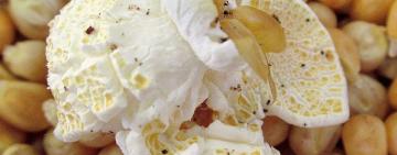 На полиці магазинів Одещини міг потрапити попкорн, який викликає отруєння