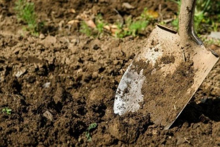 Закопали живцем: підозрювані в жорстокому вбивстві на Ізмаїльщині стверджують, що не бажали загибелі жертви