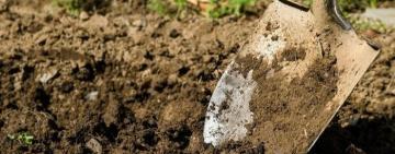 Закопали живцем: підозрювані в жорстокому вбивстві на Ізмаїльщині стверджують, що не бажали загибелі жертви