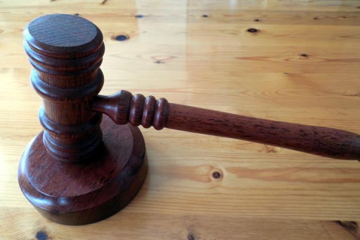 42-річного жителя Саратської громади засудили за незаконну порубку дерев