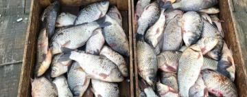 На Одещині за вилов біоресурсів рибалку оштрафували на 187 тисяч гривень