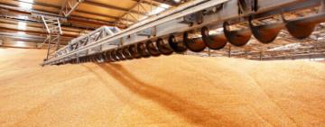 Елеватори та виробництво ветпрепаратів додали до критичної інфраструктури