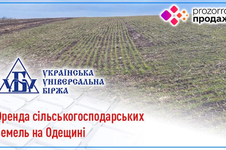 На Одещині оголошено більше 150 земельних аукціонів