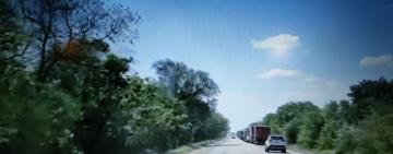 Медики Одещини поскаржилися на «оленів» на дорозі (відео)