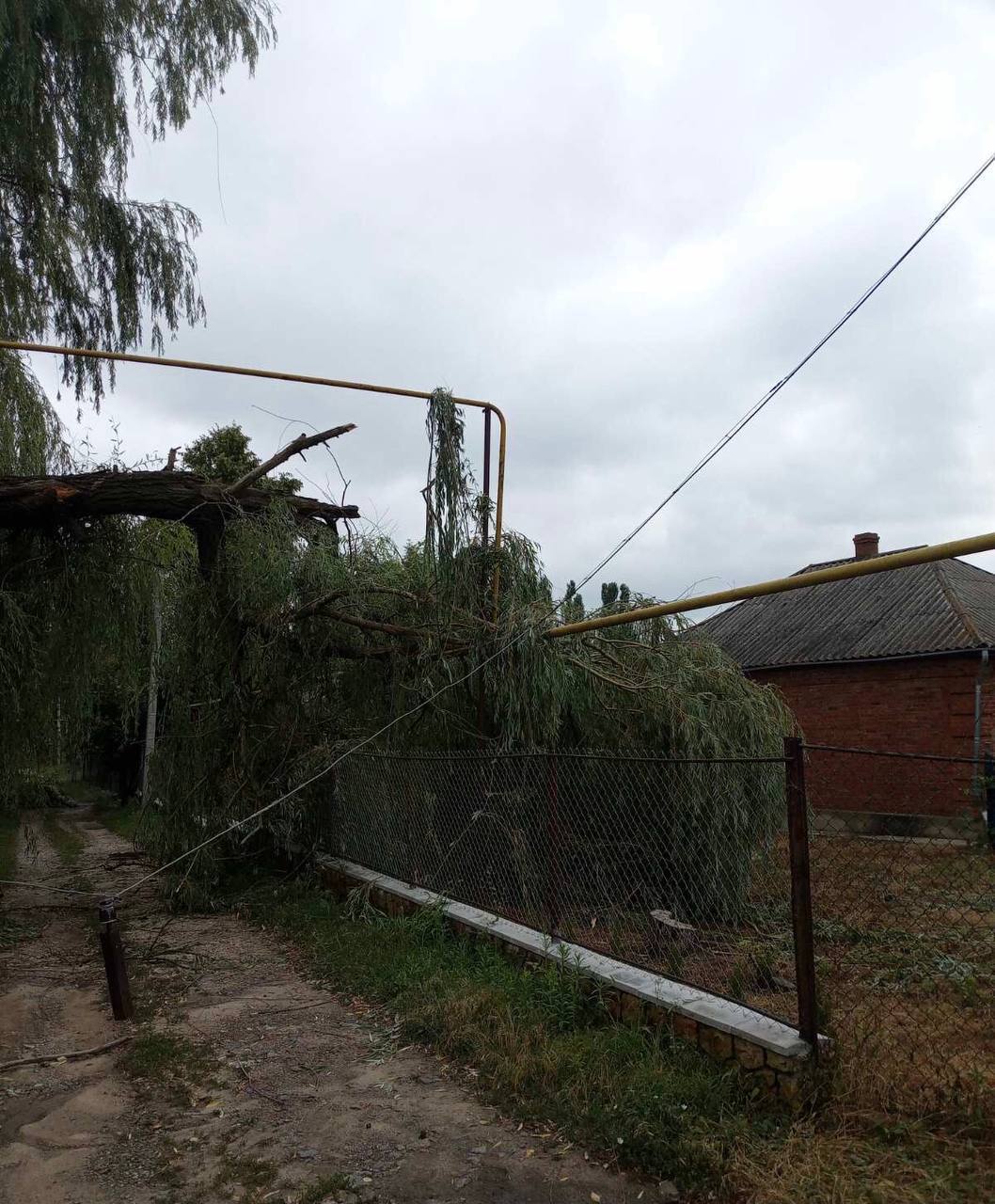 Ліквідація негоди  на Одещині: за останню добу ДТЕК повернув світло в 68 населених пунктів регіону для 17 тисяч клієнтів