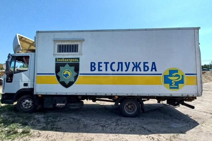  ГО «ЗООКОНТРОЛЬ» ПРОВОДИТЬ СТЕРИЛІЗАЦІЮ БЕЗПРИТУЛЬНИХ СОБАК В СМТ ТАРУТИНЕ