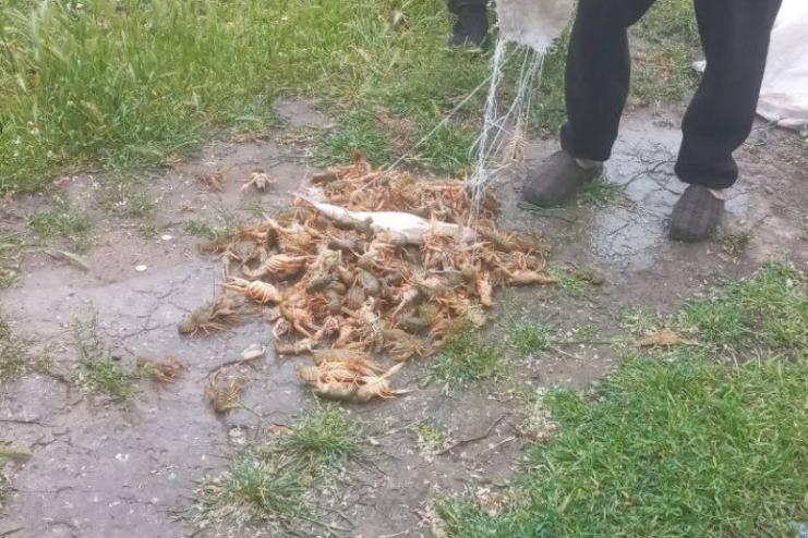 Браконьєр винен державі 566 695 грн