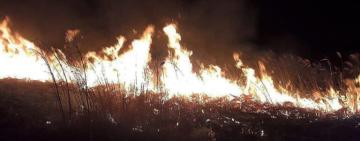 На Одещині за тиждень трапилося 8 пожеж у екосистемах