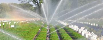 Одещина в лідерах: перша двадцятка організацій водокористувачів вже зареєстрована