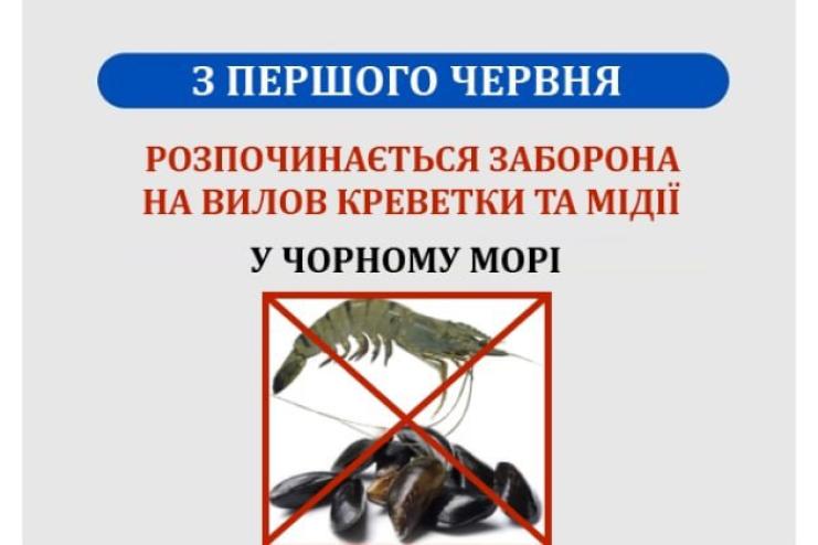 В Одеській області набула чинності заборона на вилов креветки та мідії