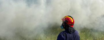 На Одещині вогнем знищено ячмінь на 2 га землі