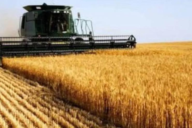 Одеських аграріїв будуть бронювати від мобілізації, — Кіпер