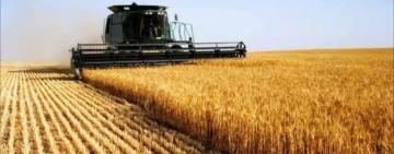 Одеських аграріїв будуть бронювати від мобілізації, — Кіпер