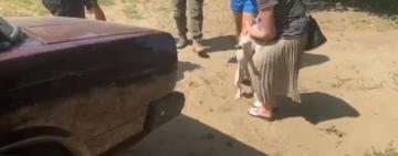 На Одещині у військового вкрали чотирилапого друга і вимагали кошти за повернення (відео)