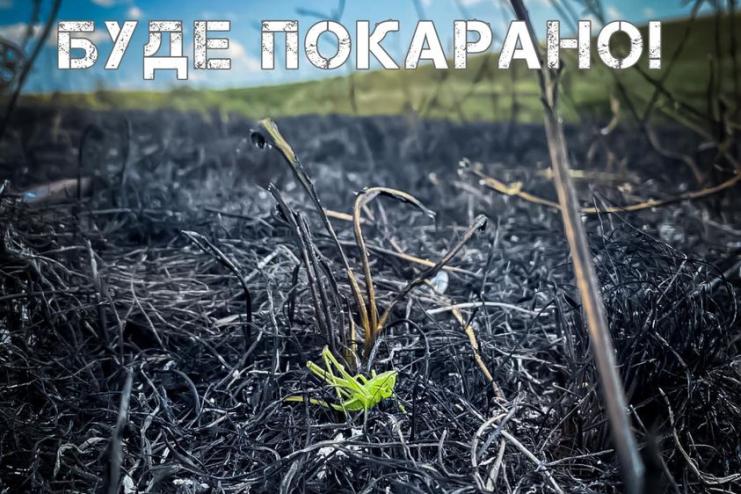 Штраф від 3-6 тис грн: на Одещині паліїв сухої рослинності притягнуто до адміністративної відповідальності