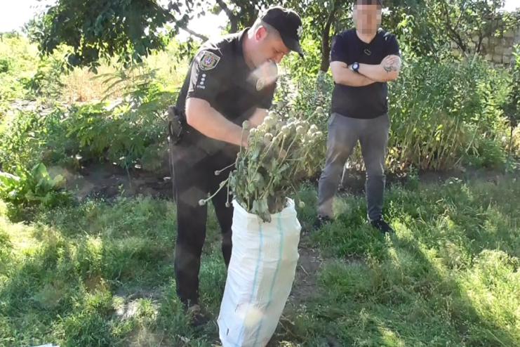 Поліцейський офіцер Татарбунарської громади Юрій Андрієнко викрив на своїй дільниці жінку у незаконному вирощуванні снотворного маку