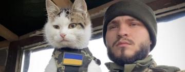 Чилив з кошечками на іншій позиції: найвідоміший військовий котик Шайбусік знайшовся