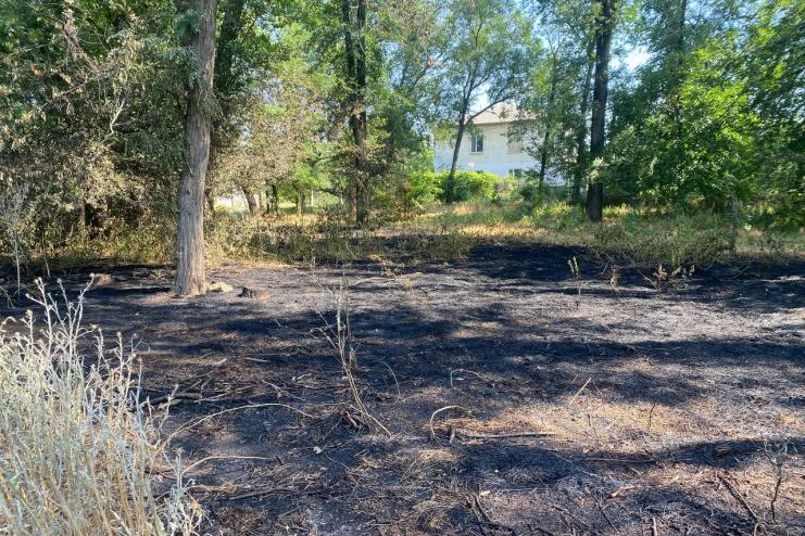 Літо із присмаком гару: в Арцизі горіла лісосмуга в житловій зоні