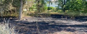 Літо із присмаком гару: в Арцизі горіла лісосмуга в житловій зоні