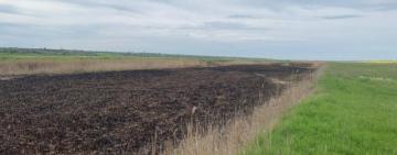 Палія з Татарбунарської громади відправили на лаву підсудних: знищено вогнем 1,5 га земельних угідь