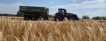 На полях Тарутинщини збір врожаю ранніх зернових завершується