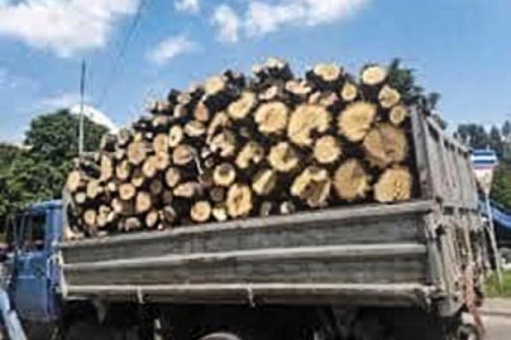 Ошукав 18 людей на продажі дров: жителю Одещини повідомлено про підозру у шахрайстві
