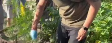 Мешканка Одещини ховала коноплі серед городини,- Нацполіція