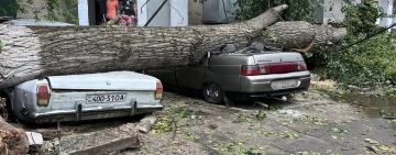 Повалені дерева, почавлені авто, зірвані дахи, і пів міста без електрики: Кілія оговтується після нічної стихії (фото)