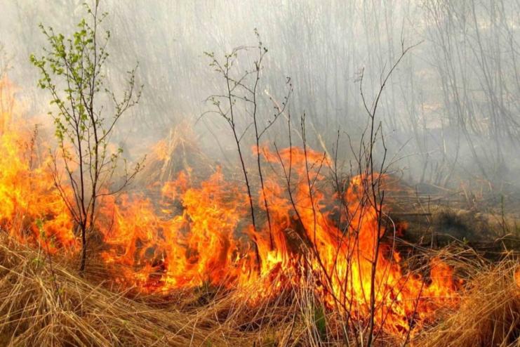 В Одесі та області очікується підвищений рівень пожежної небезпеки