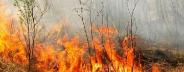 В Одесі та області очікується підвищений рівень пожежної небезпеки