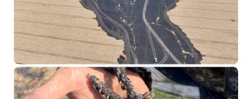 Знищено 10 гектарів поля та 36 гектарів рослинності: за добу на Одещині сталося 56 пожеж