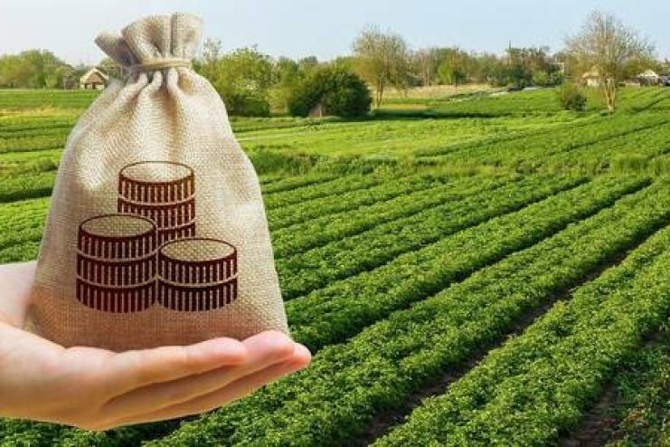 Кому з українців не потрібно платити земельний податок у 2023 році