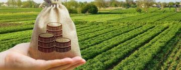 Кому з українців не потрібно платити земельний податок у 2023 році