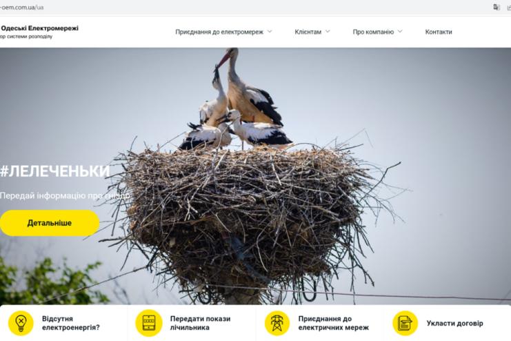 Передай інформацію про гніздо – захисти лелек: ДТЕК Одеські електромережі запустив нову функцію на сайті