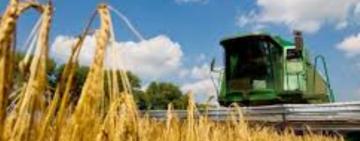 Аграрії намолотили 11 млн 224 тис. тонн зерна нового врожаю, —  Комітет аграрної політики