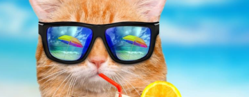 «Погода буде, як в Єгипті»: неймовірна спека прийшла в Україну