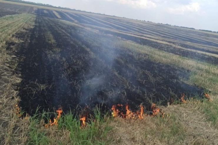На Одещині пастух кинув непогашений недопалок і знищив два гектари земельних угідь