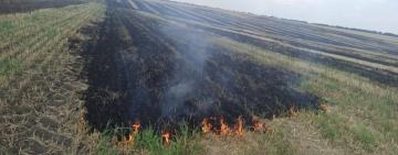 На Одещині пастух кинув непогашений недопалок і знищив два гектари земельних угідь