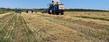 На Одещині 69-річний чоловік самовільно зайняв і використовував майже дев’ять гектарів земельної ділянки в охоронних зонах