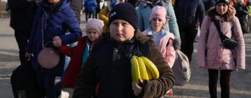 76% українських біженців хочуть повернутися додому - ООН