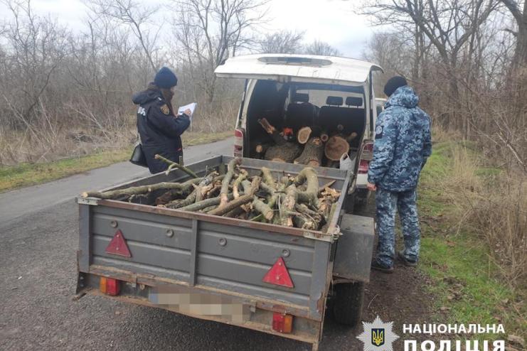 На Одещині 27-річний чоловік відповість у суді за порубку дерев на території Нацпарку