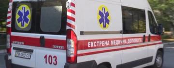 На Болградщині алабай покусав 8-річну дитину