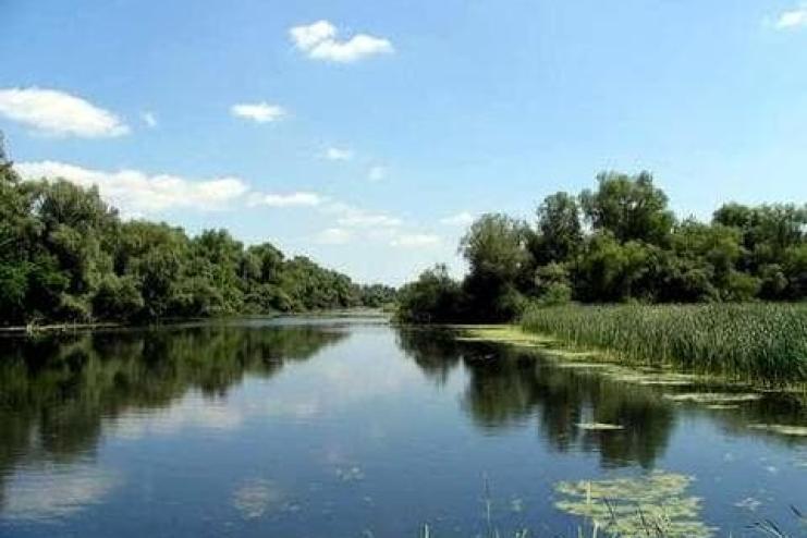 Котедж-заповідник. Як на Одещині розкрадають землю на мільйони гривень