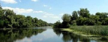 Котедж-заповідник. Як на Одещині розкрадають землю на мільйони гривень