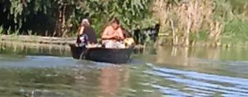 На Одещині невідомі «герої» забили камінням качечку на очах у дітей