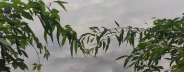 На Одещині судитимуть орендаря ставка, який побив пенсіонера за ловлю риби 