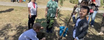 В Арцизькому ліцеї №4 продовжили гарну екологічну акцію «Посади дерево»